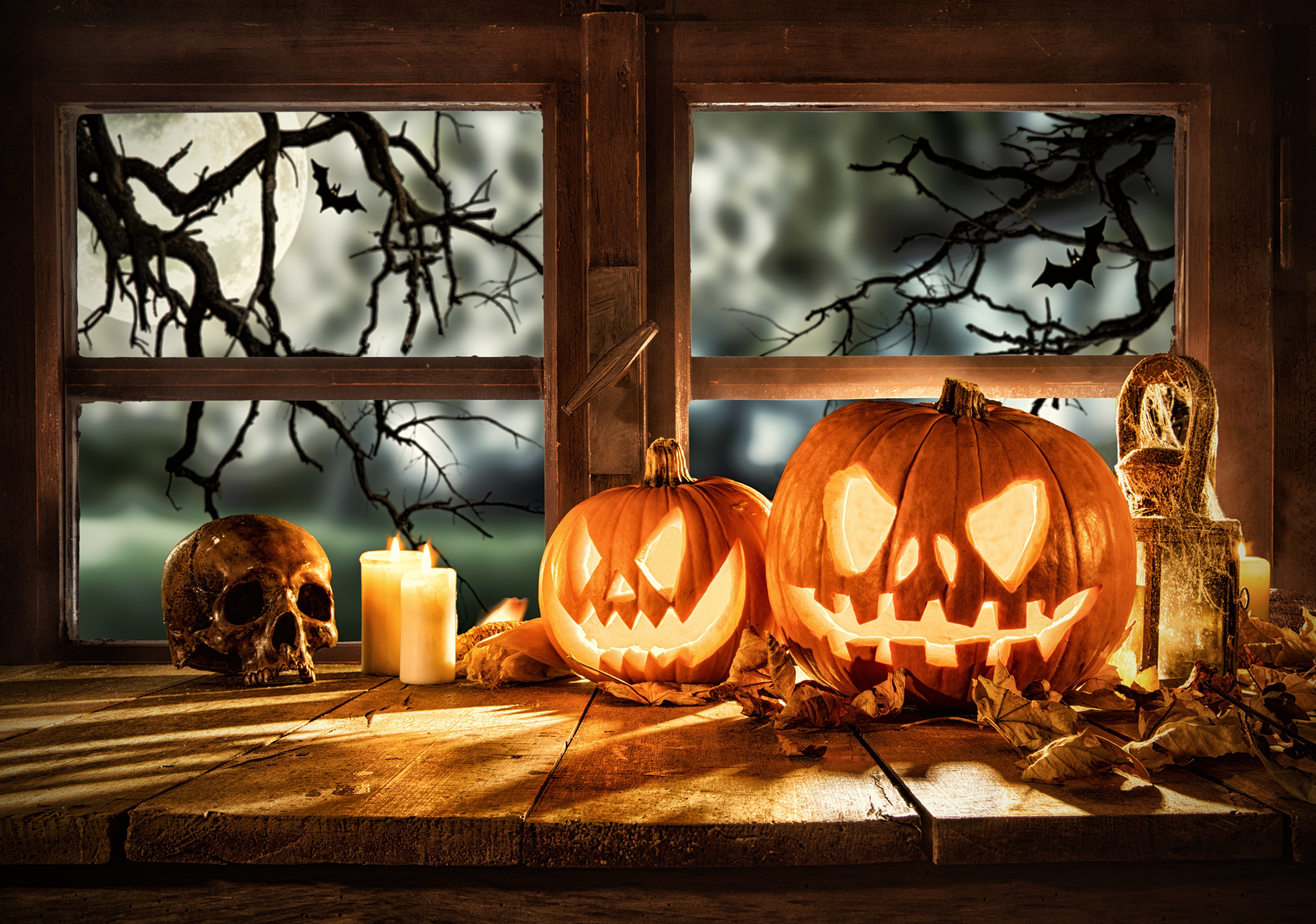Halloween Has Come & Gone, But the Spooky Fun is Still Going On Here in Rhode Island!